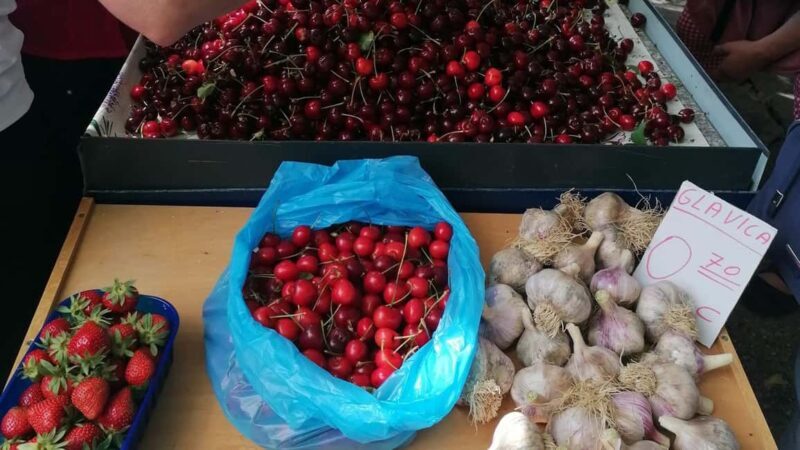 Split; Private Morning Walking Tour in Split - What to Expect on the Split Private Morning Walking Tour