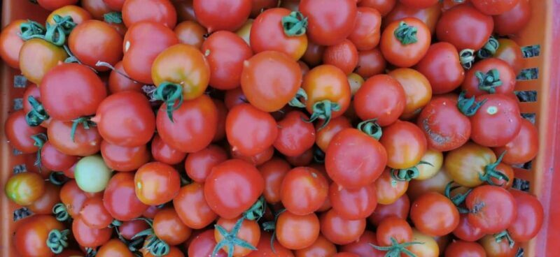 Split; Private Morning Walking Tour in Split - Is This Tour Worth It?