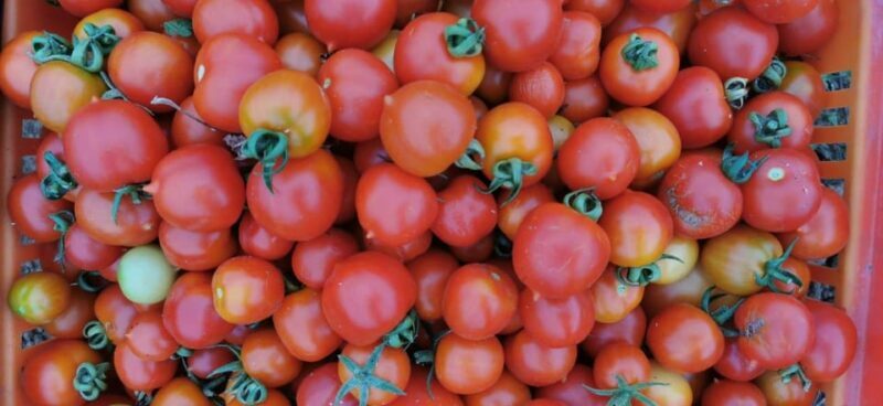 Split; Private Morning Walking Tour in Split - Who This Tour Is Best For