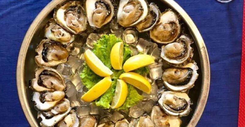 Split & Trogir: Tour to Dubrovnik & Ston with Oyster Tasting - Who Is This Tour Best For?