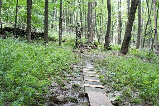 Spooky Outdoor Escape Room - Final Thoughts