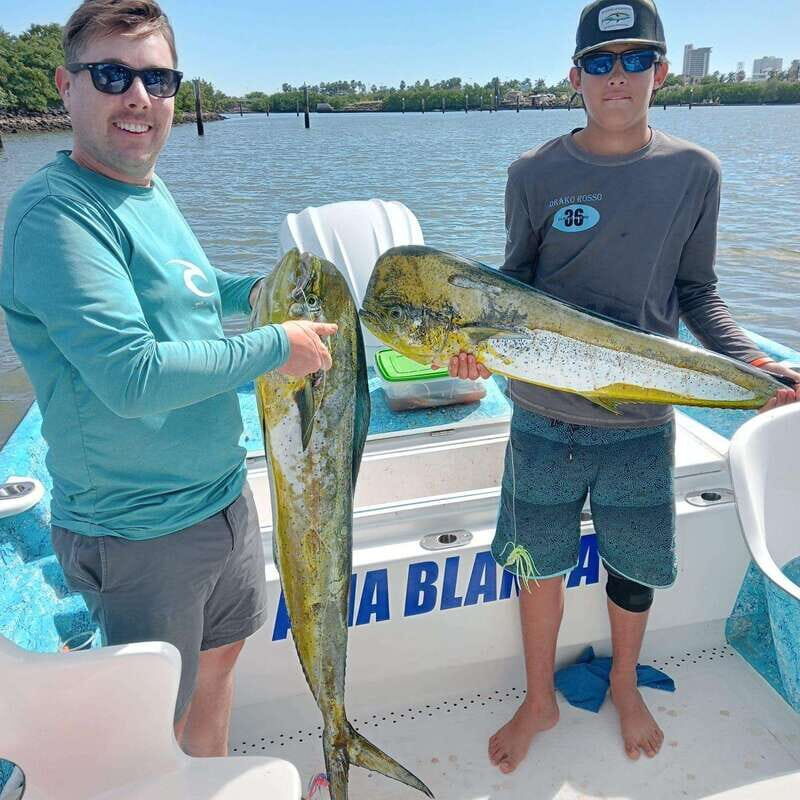 Sport fishing in mazatlan - The Experience and the Fish