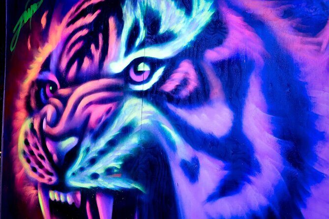 Spray Day Graffiti Workshop - Who Is This Tour Best For?