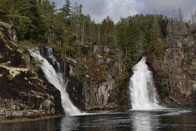 Spring Bear and Waterfall Tour - A Detailed Look at What This Tour Offers