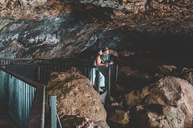 Springbrook andTamborine Rainforest Tour Incl Natural Bridge and Glow Worm Cave - Who Should Consider This Tour?