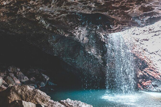 Springbrook andTamborine Rainforest Tour Incl Natural Bridge and Glow Worm Cave - Final Thoughts