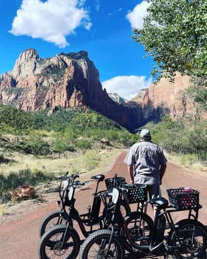 Springdale: Guided eBike Tour in Zion National Park - The Experience and Atmosphere