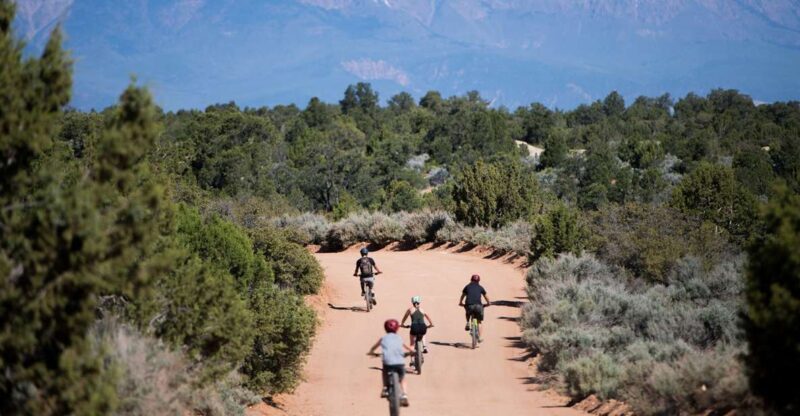 Springdale: Half-Day Mountain Biking Adventure - Why Travelers Love This Tour