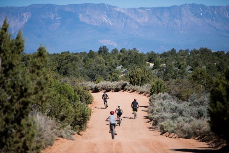 Springdale: Half-Day Mountain Biking Adventure - Who Should Consider This Tour?