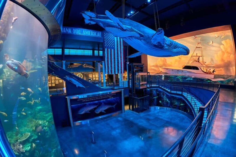 Springfield: Wonders of Wildlife National Museum & Aquarium - What Makes the Wonders of Wildlife a Must-Visit?