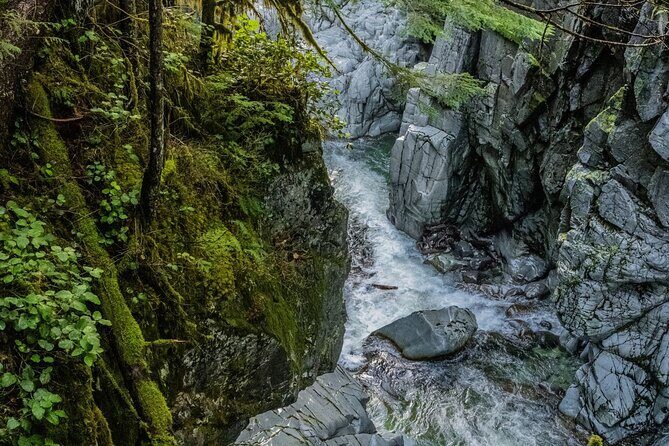 Squamish Canyon Day Ticket - Final Thoughts: Who Is This Tour For?