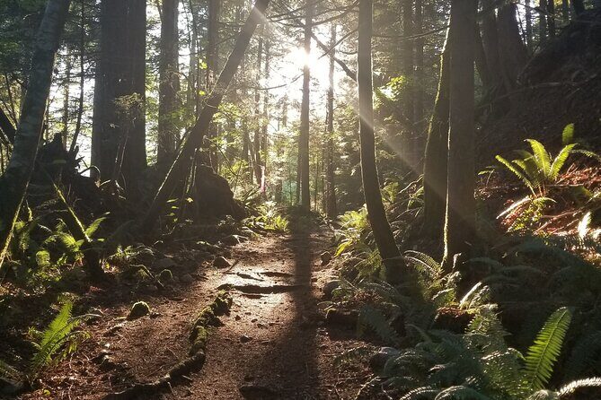 Squamish Trail Running Adventure - An In-Depth Look at the Squamish Trail Running Adventure