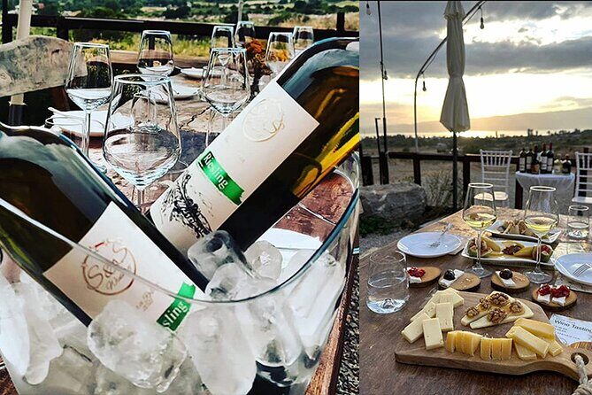 S&S Winery - Wine Tasting Experience in Ohrid - What Do Travelers Say?