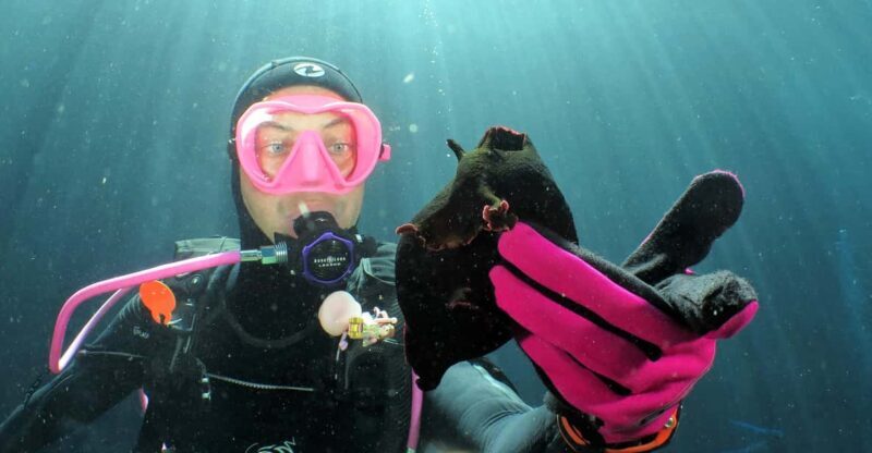 SSI Try Scuba Diving in the sea - What’s the Experience Really Like?