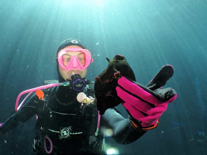 SSI Try Scuba Diving in the sea - Cost and What You’re Getting