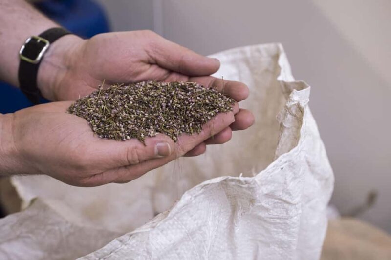 St Andrews: Eden Mill Classic Gin Experience - Key Points