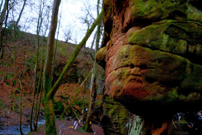 St Andrews, Villages and Coastal Charm: Private Land Rover Tour - Authentic Experiences and Honest Impressions