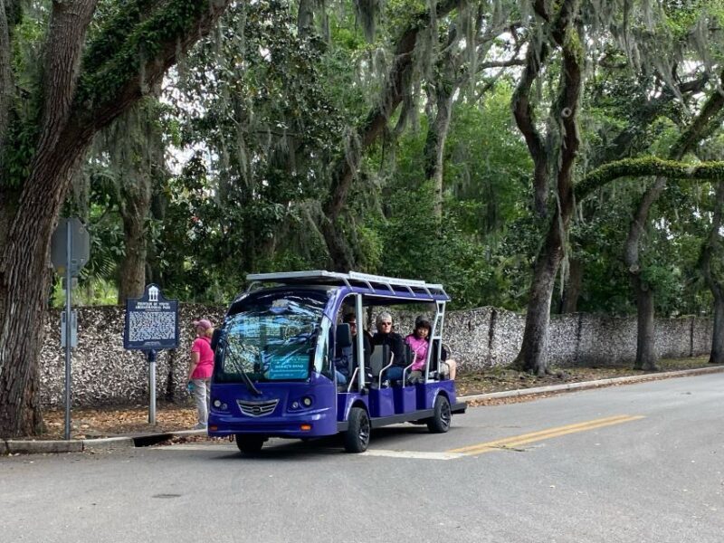 St. Augustine: Boat Cruise and Electric Golf Cart Tour - What Travelers Are Saying