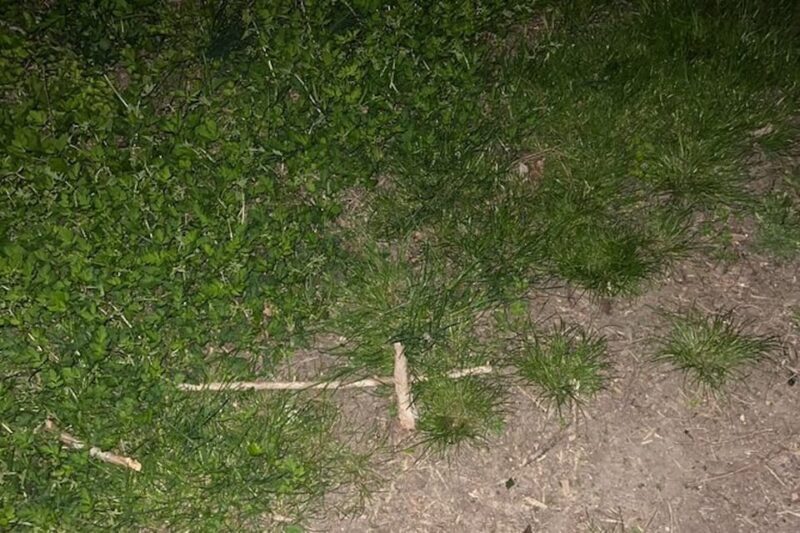 St. Augustine: Devil's Hour Paranormal Investigation Tour - A Close Look at the Devil’s Hour Paranormal Investigation Tour