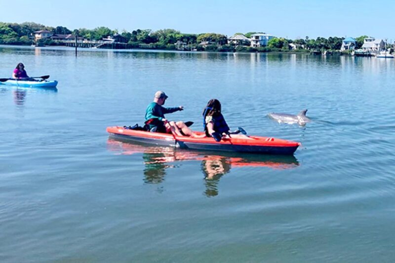 St. Augustine: Dolphin and Manatee Paddle or Kayak Tour - What to Expect on the Tour