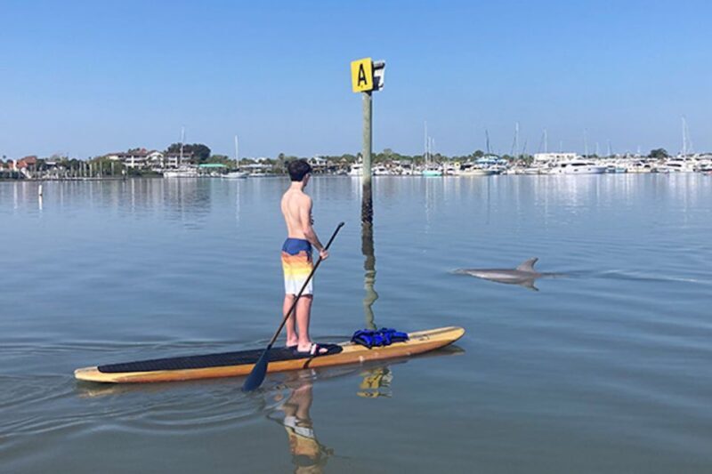 St. Augustine: Dolphin and Manatee Paddle or Kayak Tour - The Experience Itself: Activity Level and Comfort