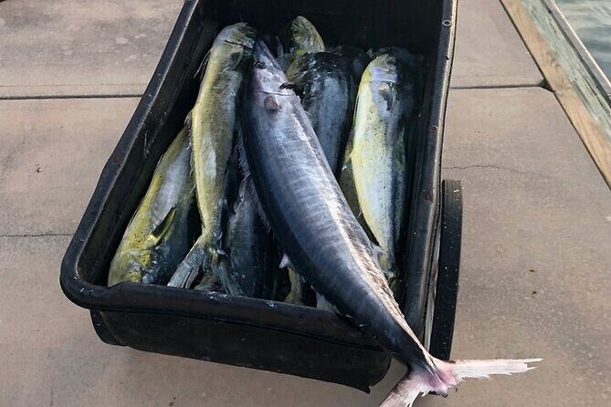 St. Augustine Fishing Charter Experience - The Value of This Fishing Experience