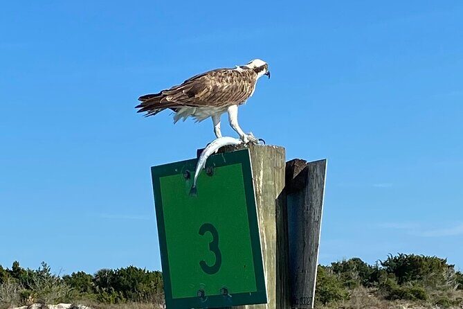 St Augustine Sunset Boat Tour - Who Should Consider This Tour?