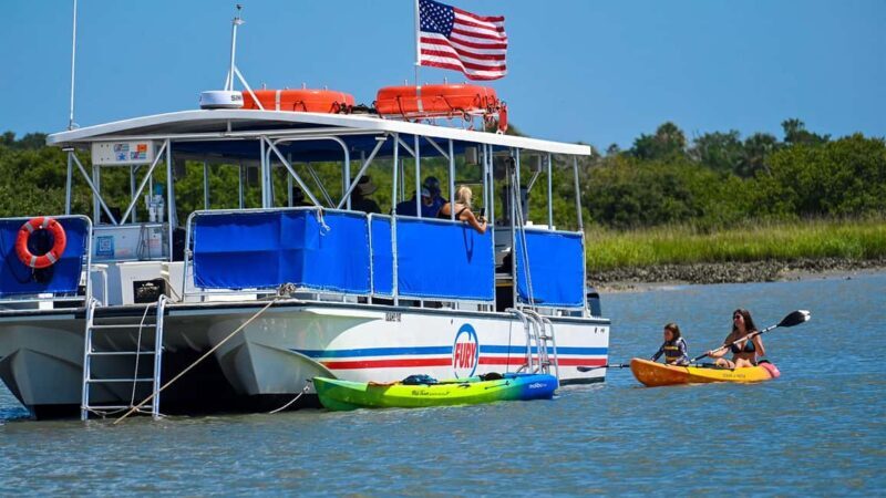 St. Augustine Wildlife Adventure: Boat Cruise & Kayak Tour - What to Expect from the Tour