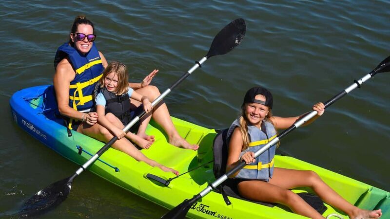 St. Augustine Wildlife Adventure: Boat Cruise & Kayak Tour - Who Should Consider This Tour?