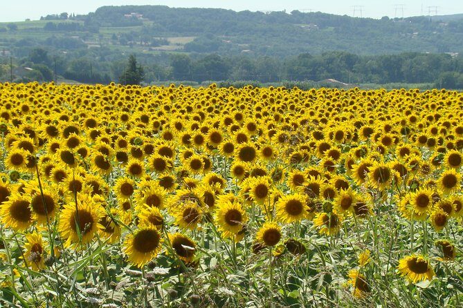 St Cirq LaPopie and Pech Merle Cavern Tour from Toulouse - What We Love About This Tour