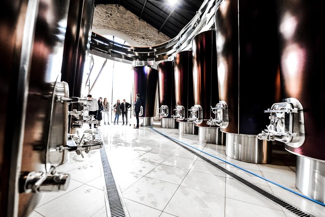 St-Emilion & Médoc Wine Day Tour: Chateaus, Tastings and Lunch - Lunch at the Winery: What You’ll Actually Eat