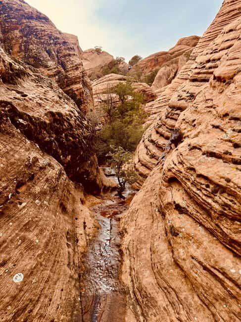 St. George: Jeep Exploration Slot Canyon & Rock Formations - What’s Included and What’s Not