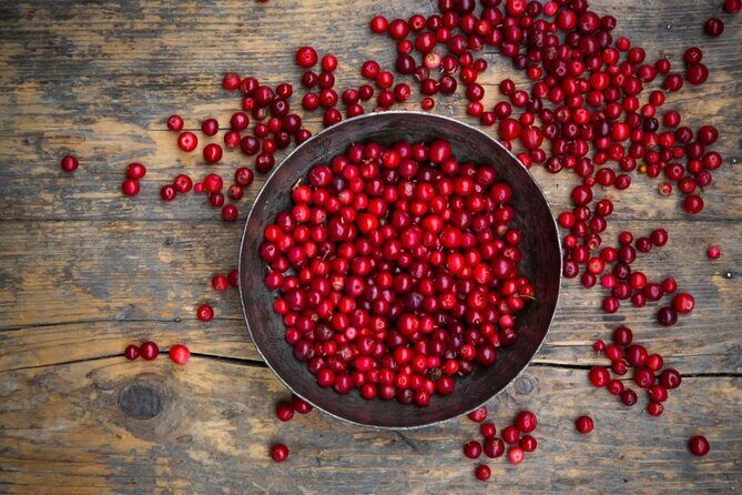 St. John's 3 Hour Newfoundland Food Tour - What Travelers Say