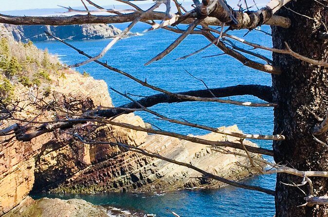 St. John's Coastal Hike with Top Local Guide Deneen - Final Thoughts