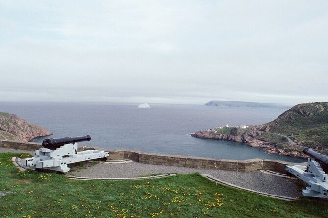 St. John's, Quidi Vidi Village & Signal Hill Small Group Tour - What’s the Experience Like in Practice?