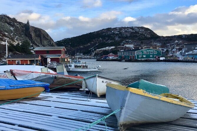 St. John's, Quidi Vidi Village & Signal Hill Small Group Tour - Who Would Love This Tour?