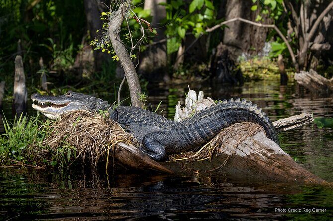 St. Johns River Lunch and Dinner Cruises in Sanford, Florida - FAQ