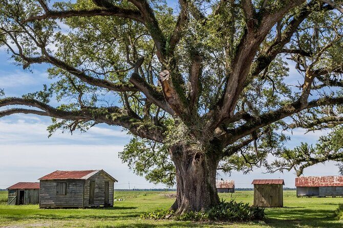 St. Joseph and Felicity Plantation Combo Tour - Practical Aspects