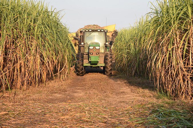 St. Joseph and Felicity Plantation Combo Tour - Who Is This Tour For?