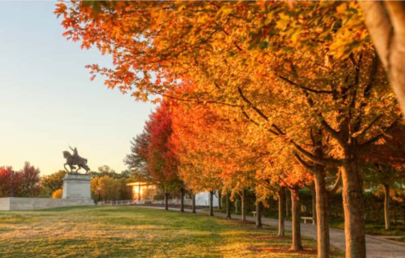 St. Louis Skyline & Stories: 2-Hour Private Walking Tour - Who Should Consider This Tour?