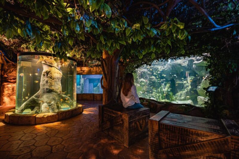 St Paul's Bay: Malta National Aquarium Entry Ticket - An In-Depth Look at the Malta National Aquarium