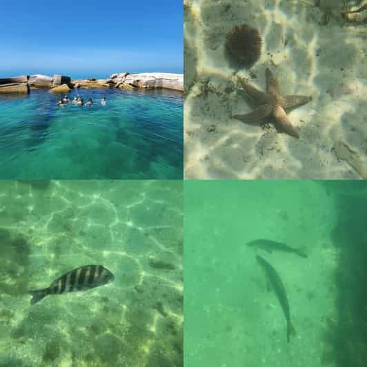 St Pete Beach: Private Boat tour for watersports snorkeling - The Experience: What It Feels Like