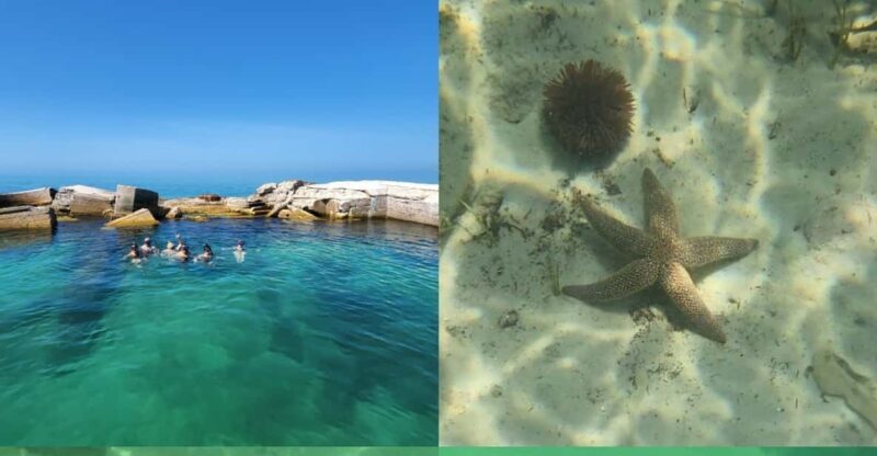 St Pete Beach: Private Boat tour for watersports snorkeling - Practical Details and Considerations