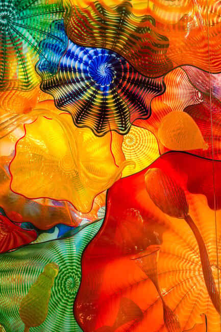St. Petersburg: Chihuly Collection Admission Ticket - What to Expect at the Chihuly Collection
