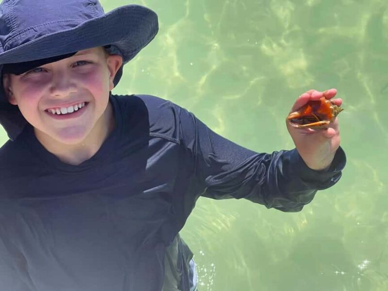 St. Petersburg, FL: 3-Hour Eco Tour with Island Hopping - Who Is This Tour Best For?