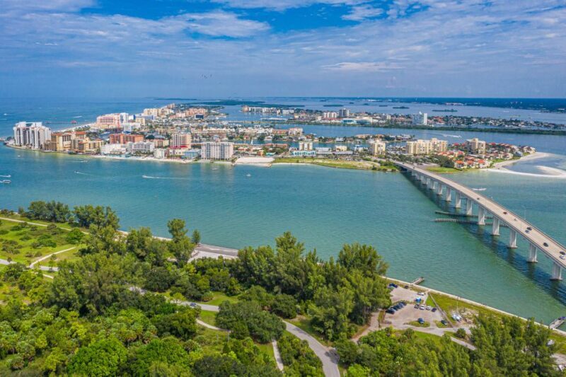 St. Petersburg, FL: Private 2-Hour Dolphin Watching Cruise - The Experience in Detail