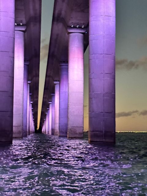 St. Petersburg, FL: Sunset & Skyway Bridge Lights Tour - The Value for Money