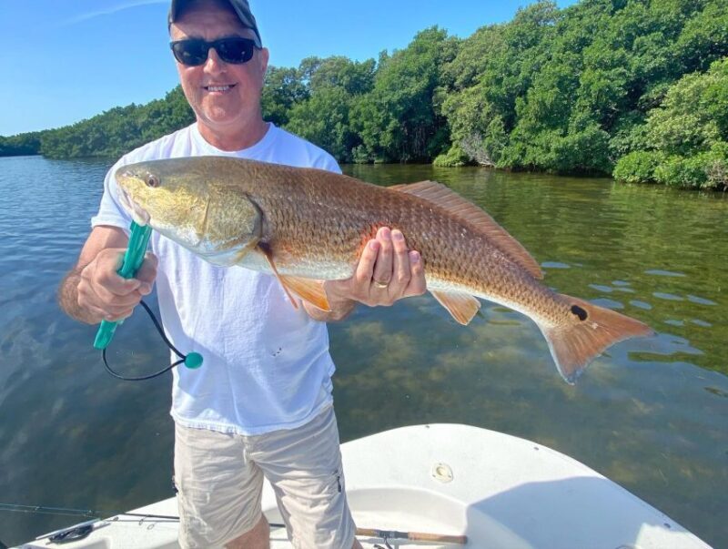 St. Petersburg, FL: Tampa Bay Private Inshore Fishing Trip - What to Expect from This Fishing Trip
