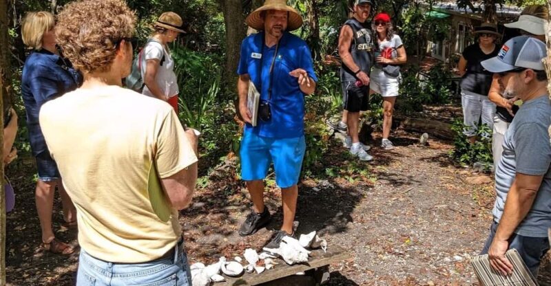 St. Petersburg: Jungle Prada Site History Tour - What to Expect from the Jungle Prada Site Tour