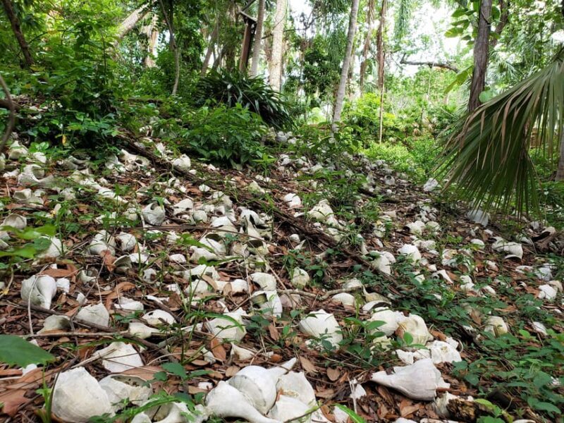 St. Petersburg: Jungle Prada Site History Tour - The Value of the Experience